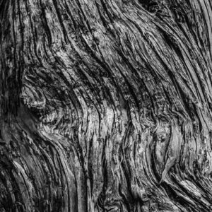 Apple Peppermint Smoothie